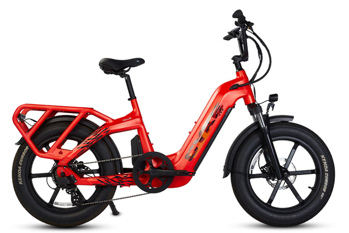 Class 3 cargo eBike