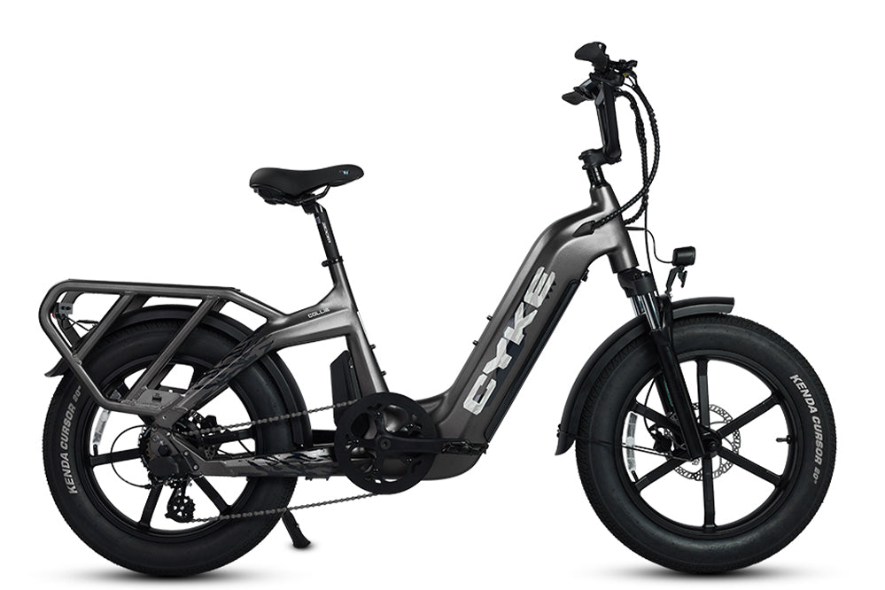 Best cargo eBike for families