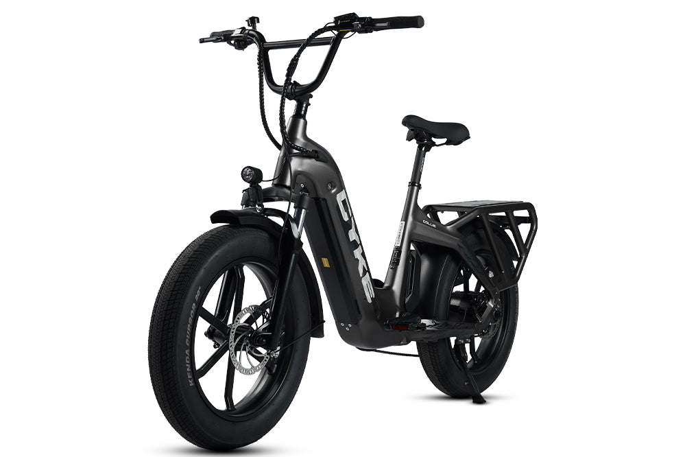 Family cargo eBike
