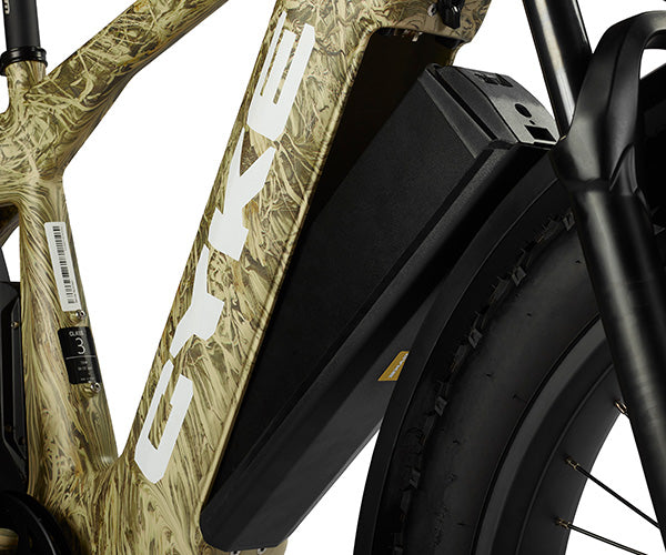 Cheetah eBike battery
