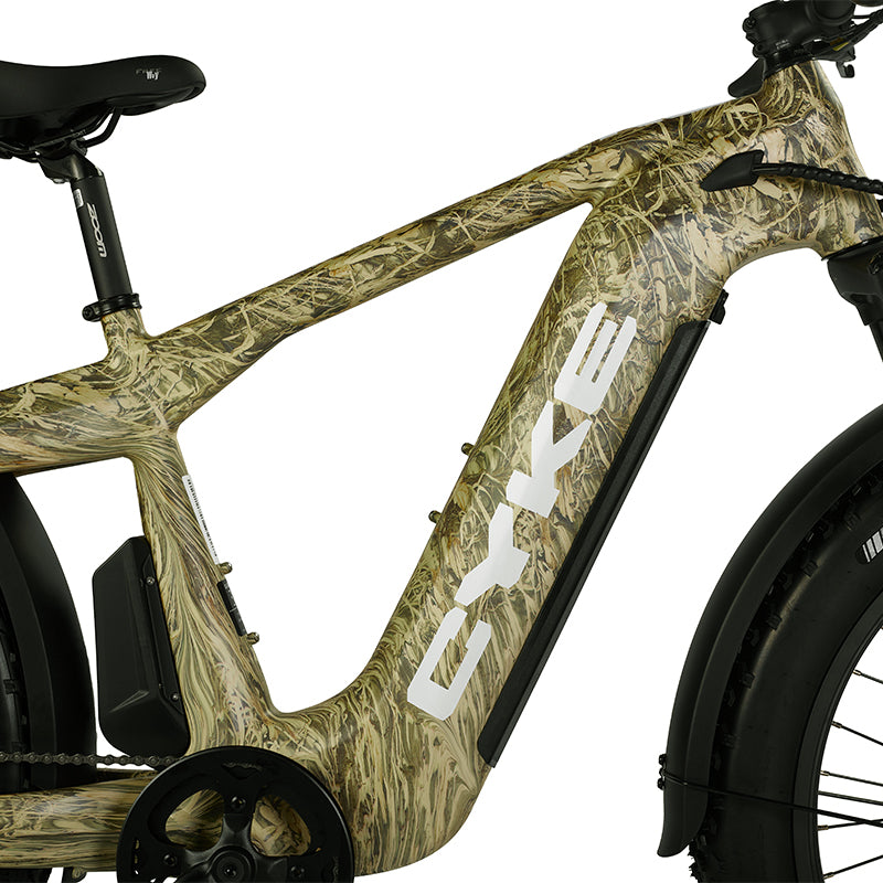 Cheetah eBike frame