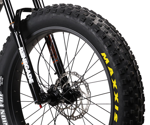 Maxxis Minion FBF/FBR Tires