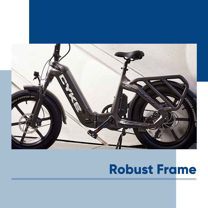 Robust eBike Frame