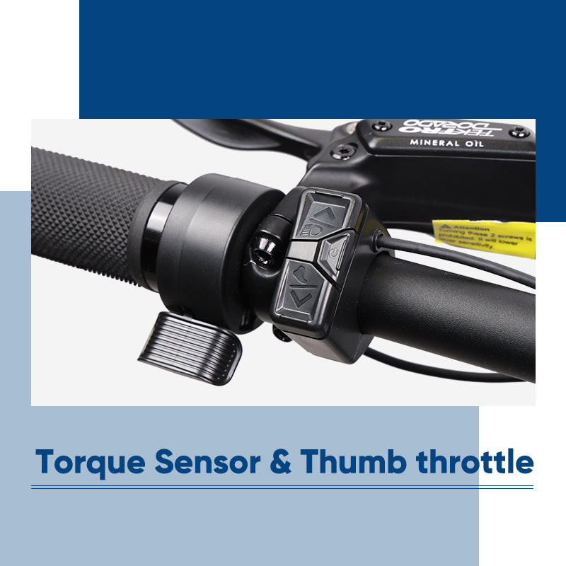 Torque Sensor & Thumb Throttle