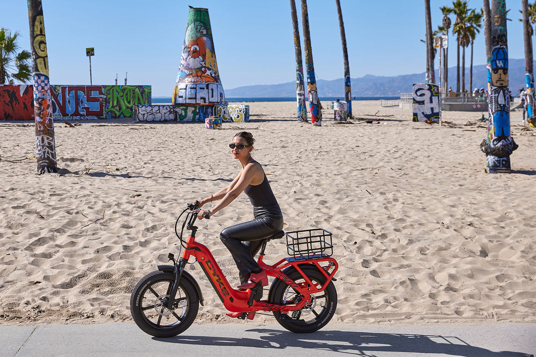 Cargo electric bicycle