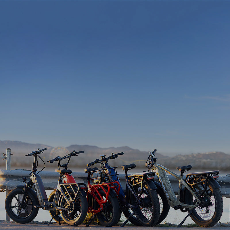 Products – CYKE Bikes
