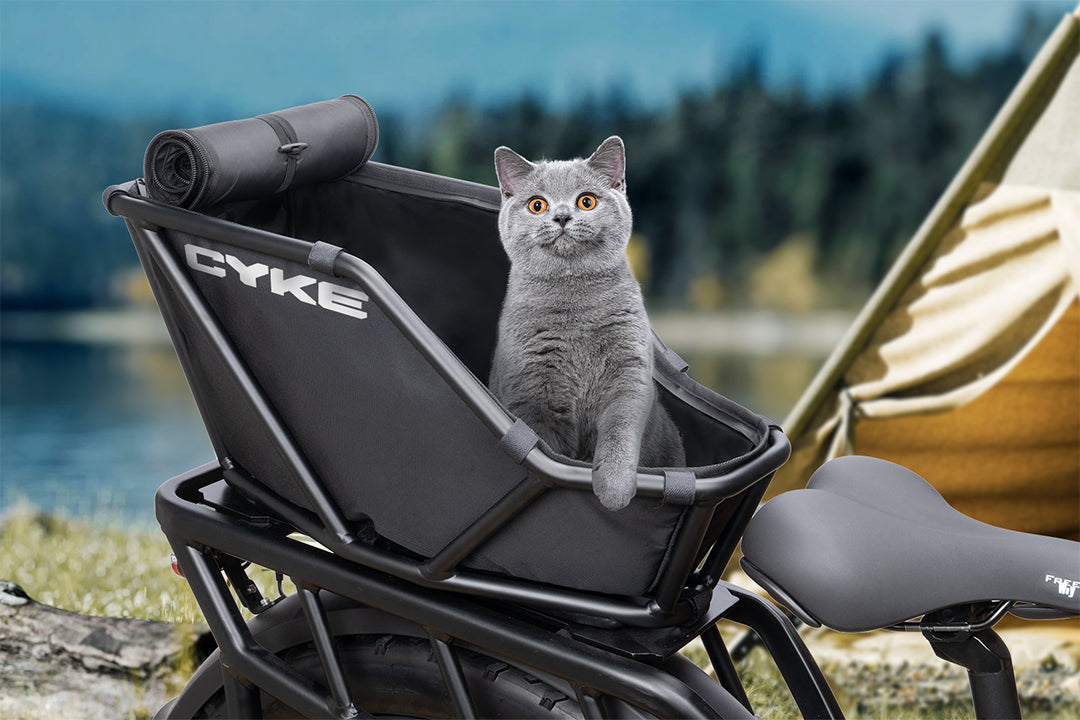 eBike Cat Carrier