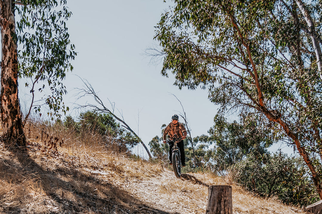 Ebikes for heavy rider