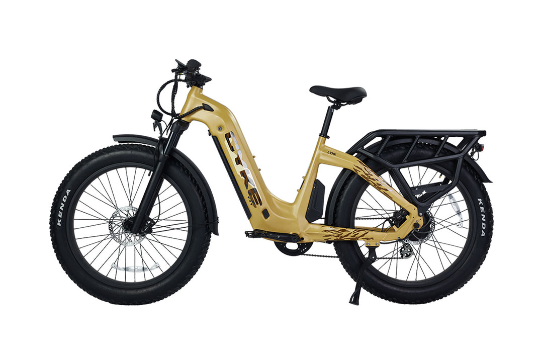 Cheetah Hunting Ebike