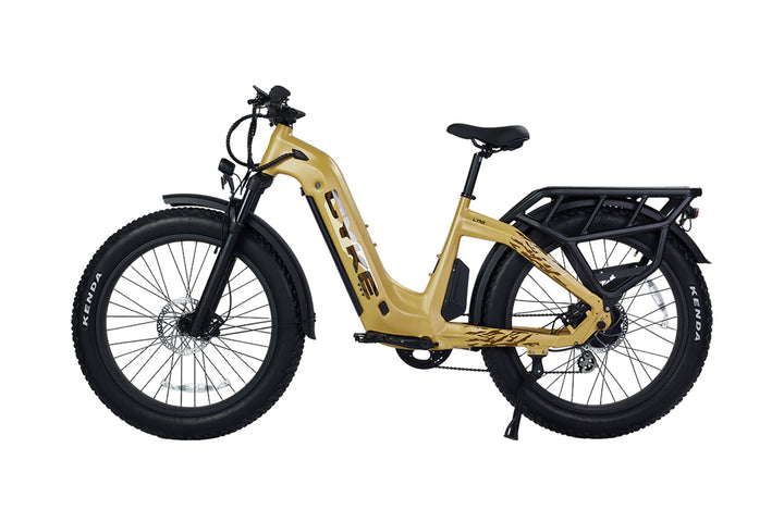 Cheetah Hunting Ebike